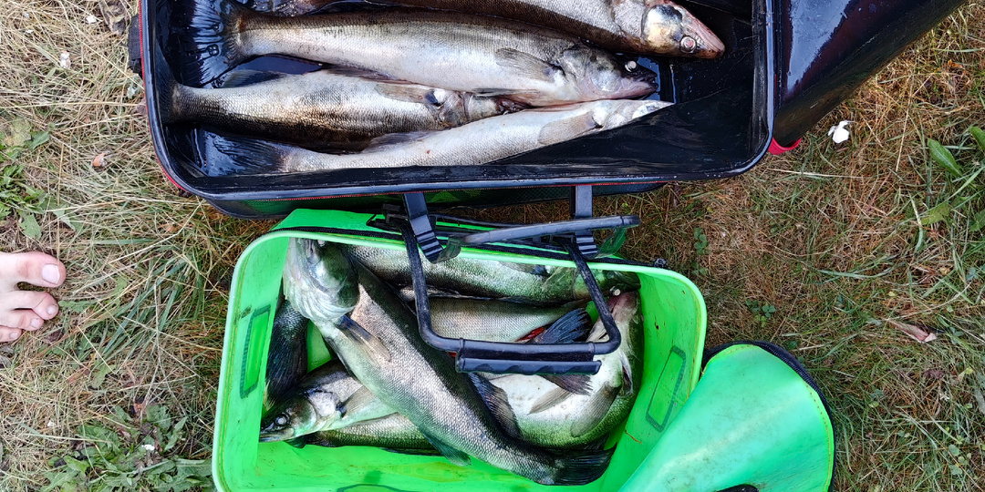 Рыбалка на Ладожском озере, в поисках судака 26.07-27.07.2025