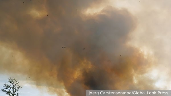     Фото: Joerg Carstensen/dpa/Global Look Press   
 Текст: Ольга Иванова