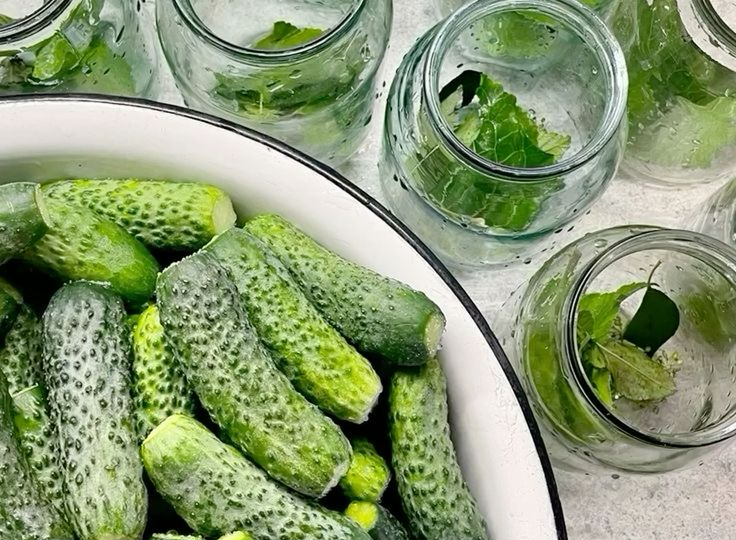 Как засолить огурцы правильно: советы, хитрости и ошибки, которых лучше не допускать