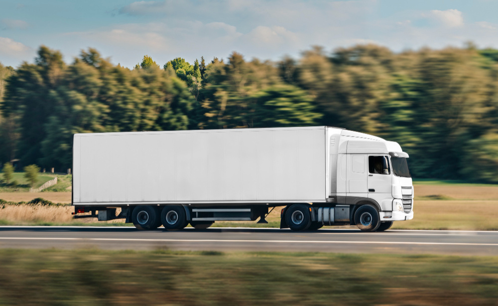    Фото: freepik Елена Воронцова