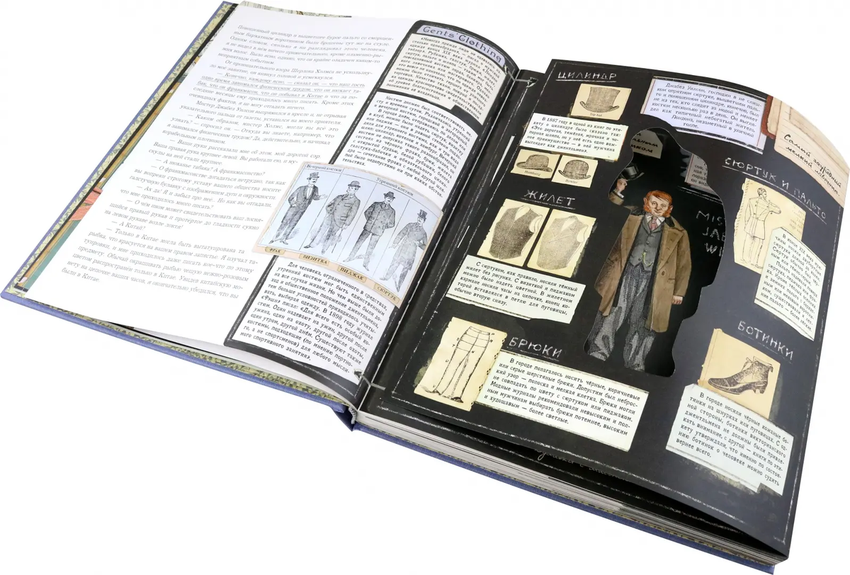 Фотография из свободных источников интернета