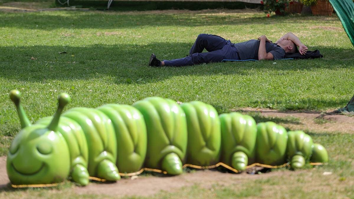   Фото: Дмитрий Белицкий / АГН Москва