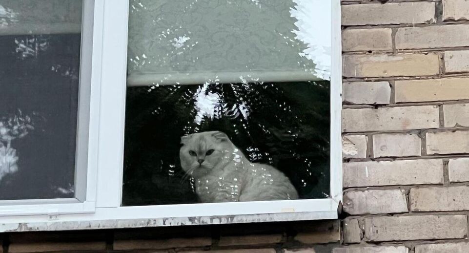    РИА «Новости»