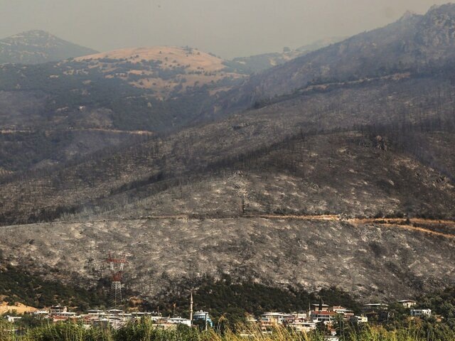    Фото: ТАСС/AP/Sercan Ozkurnazli