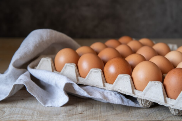 Фото: freepik.com 