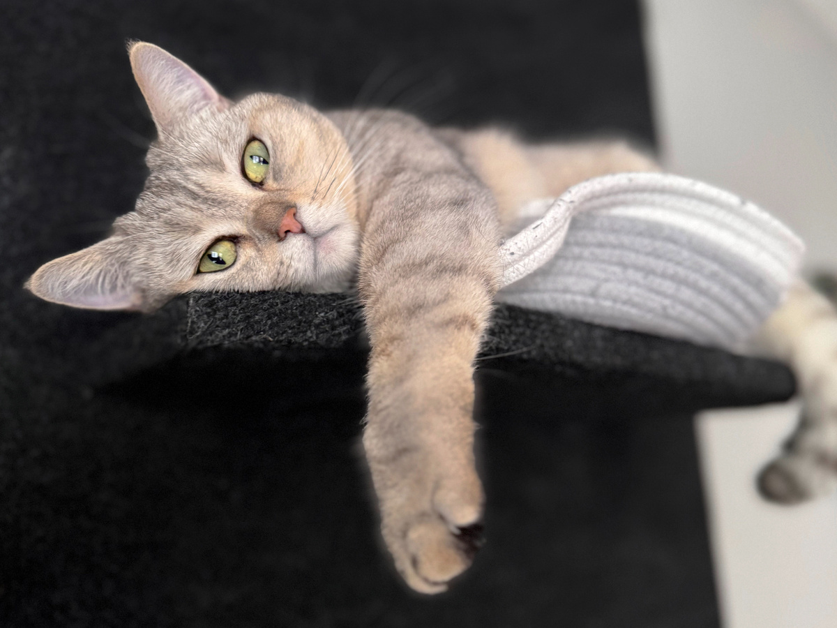 Если вы долго общаетесь, вы сразу поймете, что с ним что-то не так