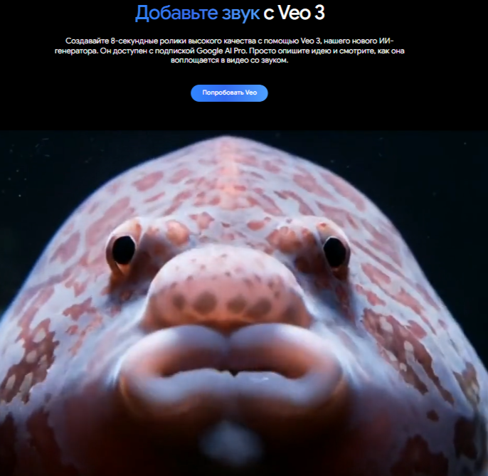 Print Screen с сайта https://gemini.google/overview/video-generation/