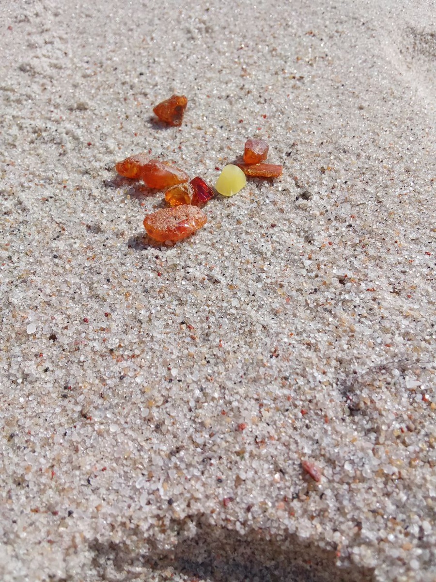 Первые янтаринки