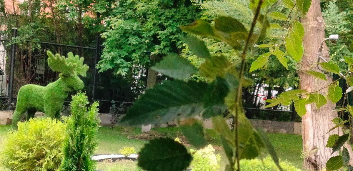  Так просто быть добрым. Нужно только представить себя на месте другого человека, прежде чем начать его судить.  Марлен Дитрих 