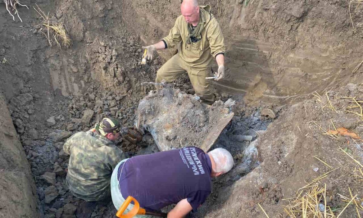    Фото t.me/vlasovkuban