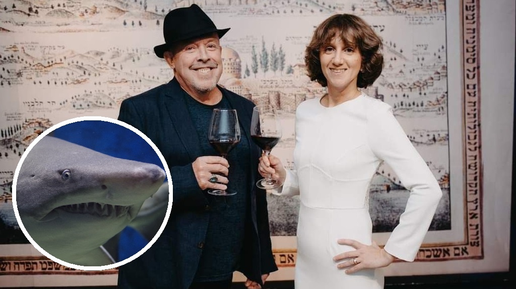 Фото: t.me/andrey_makarevich / тг-канал Андрея Макаревича*; pxhere.com