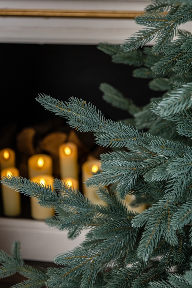 Раскидистая Премиум голубая