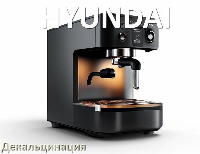 
Инструкция по декальцинации кофемашины HYUNDAI