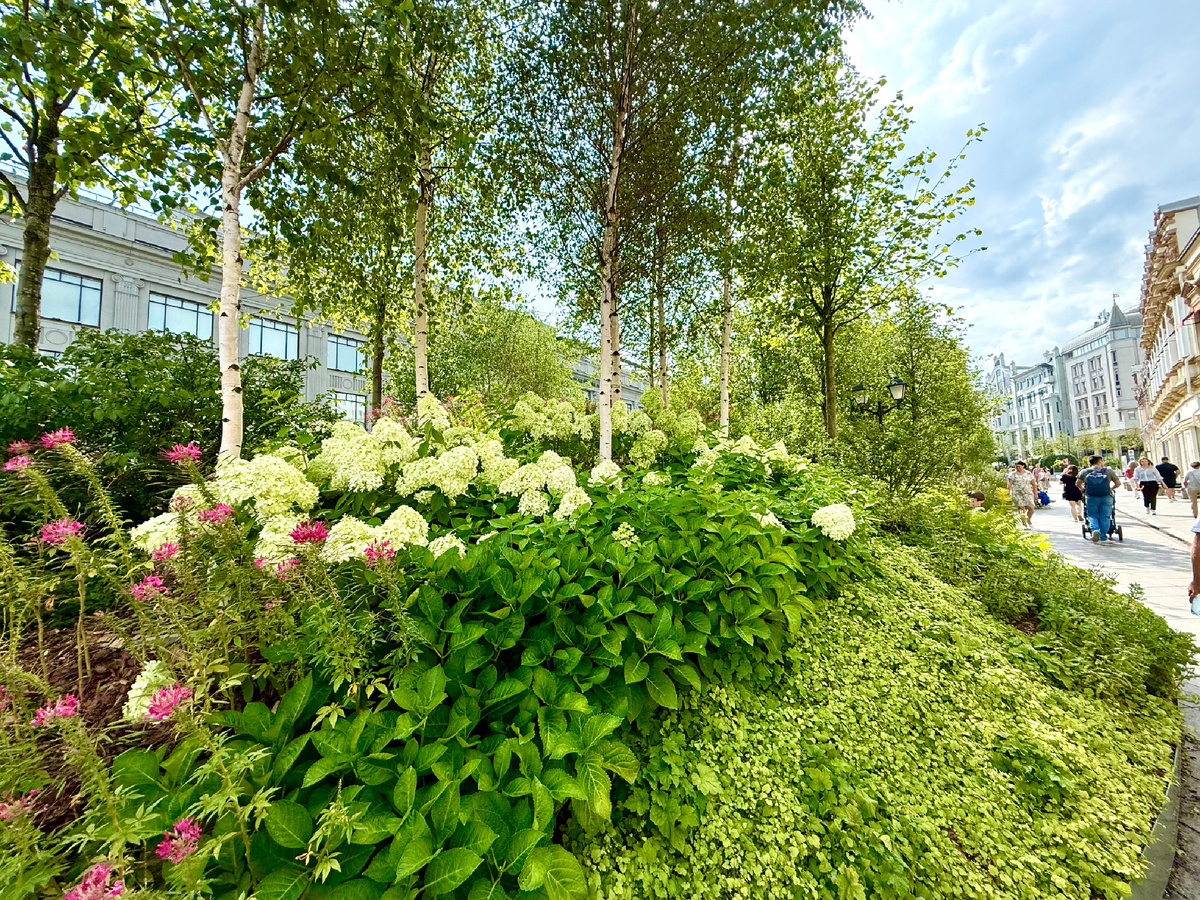 Кузнецкий мост 