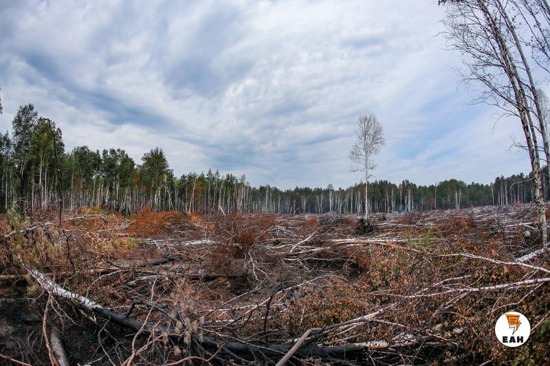    ЕАН / Архивное фото