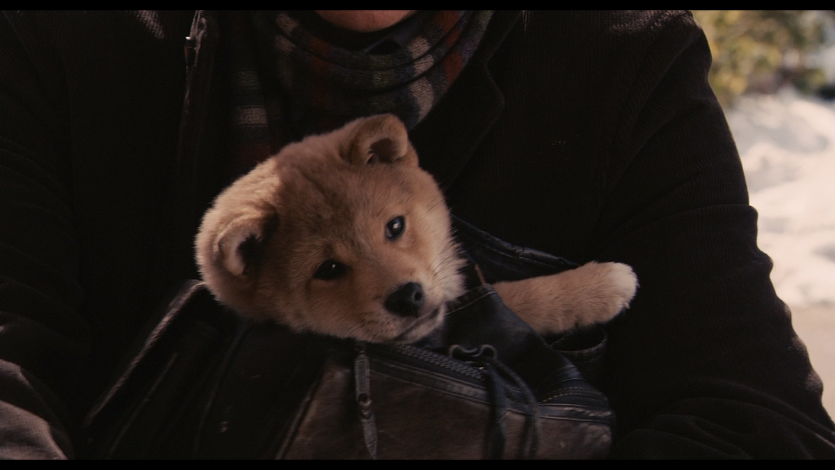 Кадр из фильма Хатико: Самый верный друг (2008)
