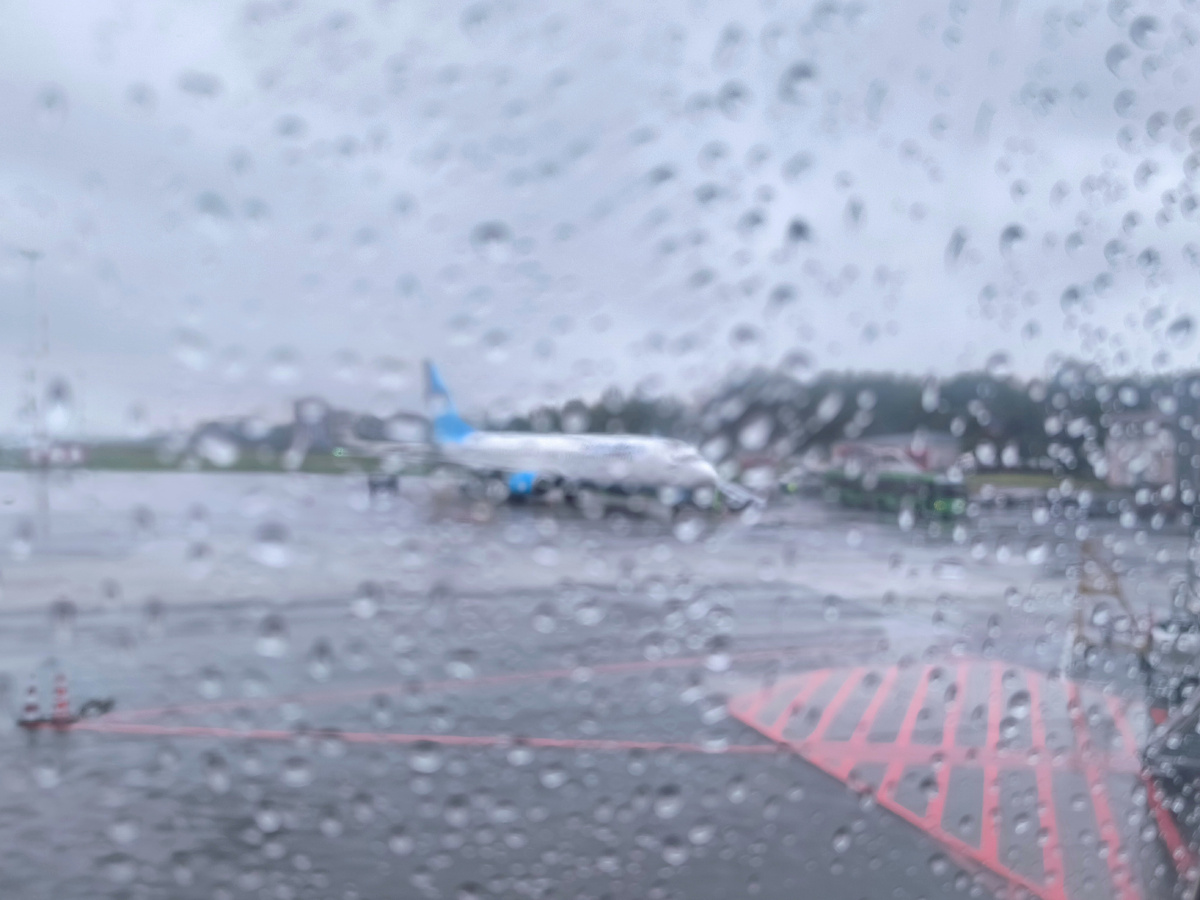 Все фото автора статьи.