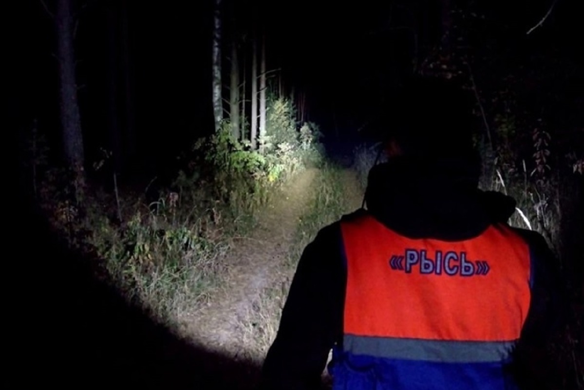    Добровольцы выходят на поиски в любое время суток