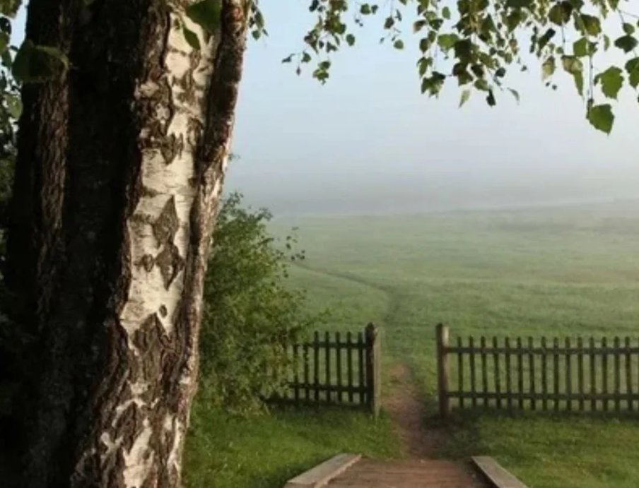 Яндекс картинки