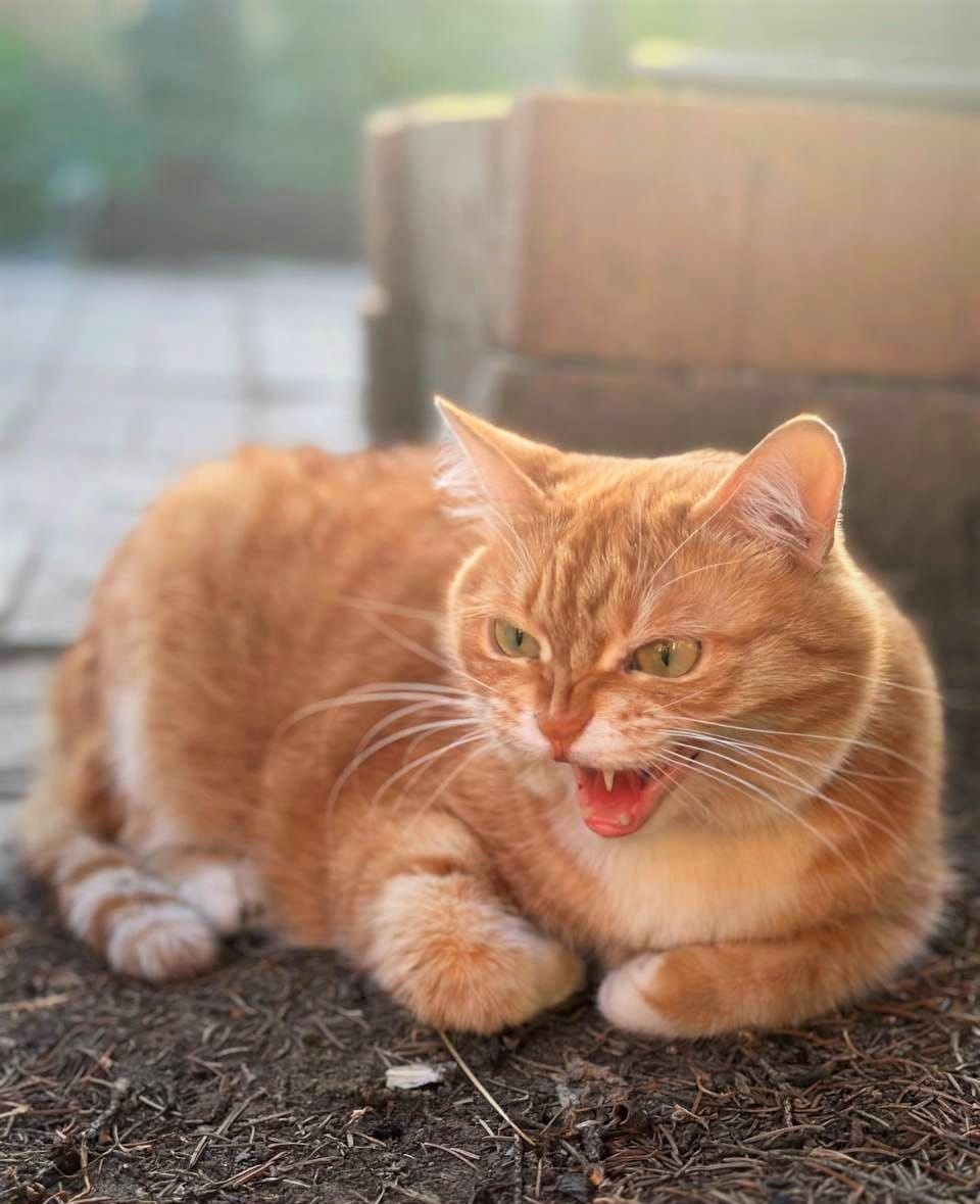 Свежее фото из архива автора)