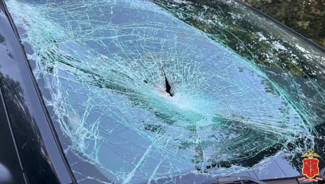    Фото: скриншот из видео пресс-службы ГУ МВД России по Петербургу и Ленобласти