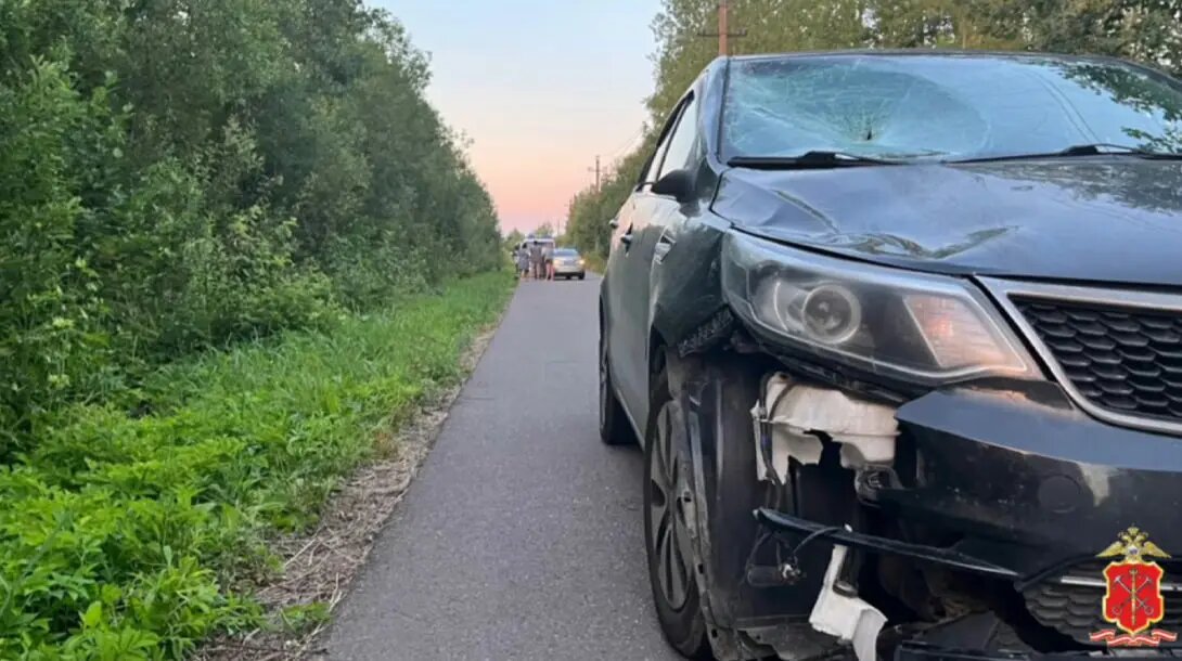    Фото: скриншот из видео пресс-службы ГУ МВД России по Петербургу и Ленобласти