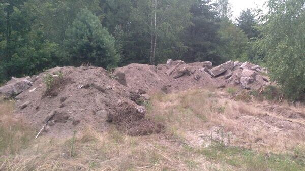    © Photo : Telegram / Минлесхоз