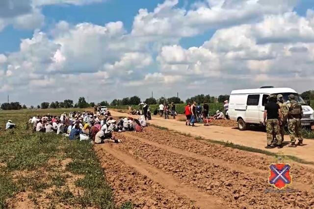 На полях под Волгоградом с помощью дронов выявили полсотни нелегальных мигрантов