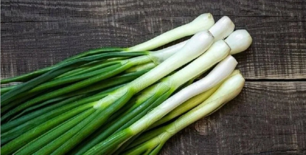 Зелёный лук он сезонный Весной лук Батум Семейный лук Очень мне нравится ярусный лук он сочный и на весь сезон его хватает 