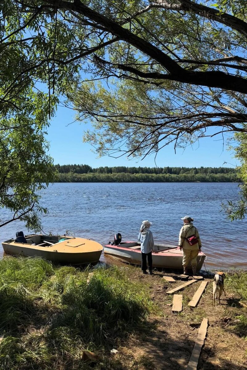    Катерина Ковальчук Социальные сети