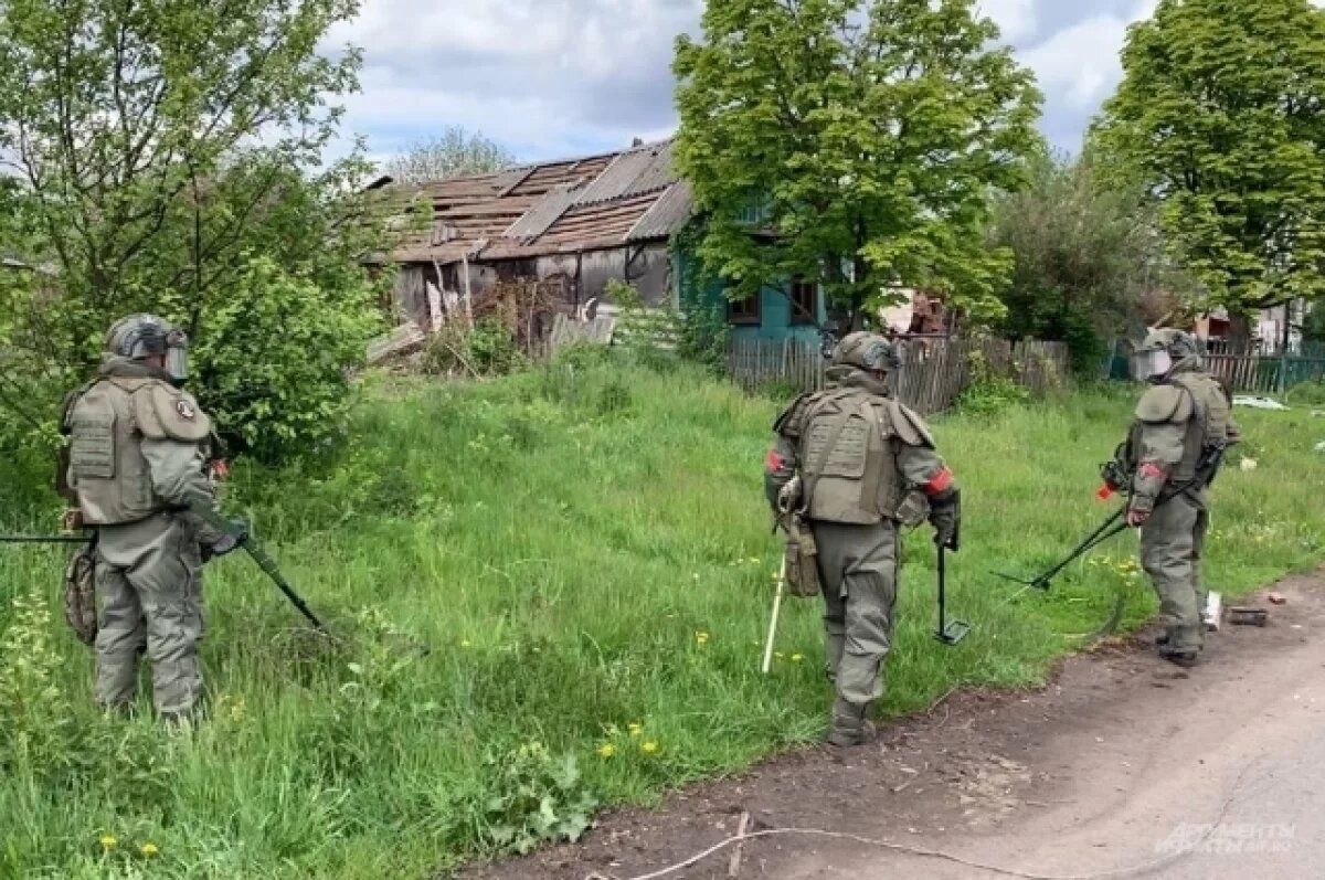    В Курской области разминировано более 67 тысяч гектаров территории