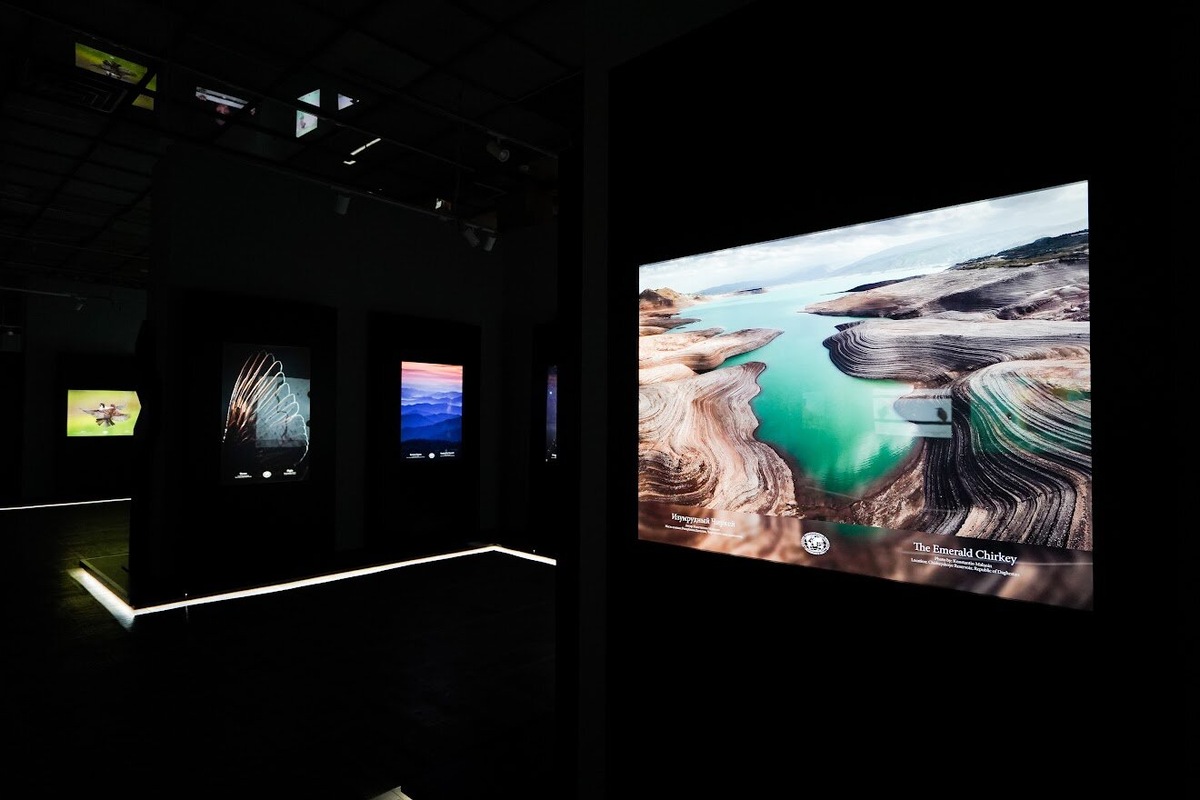 Фото: Самая Красивая Страна