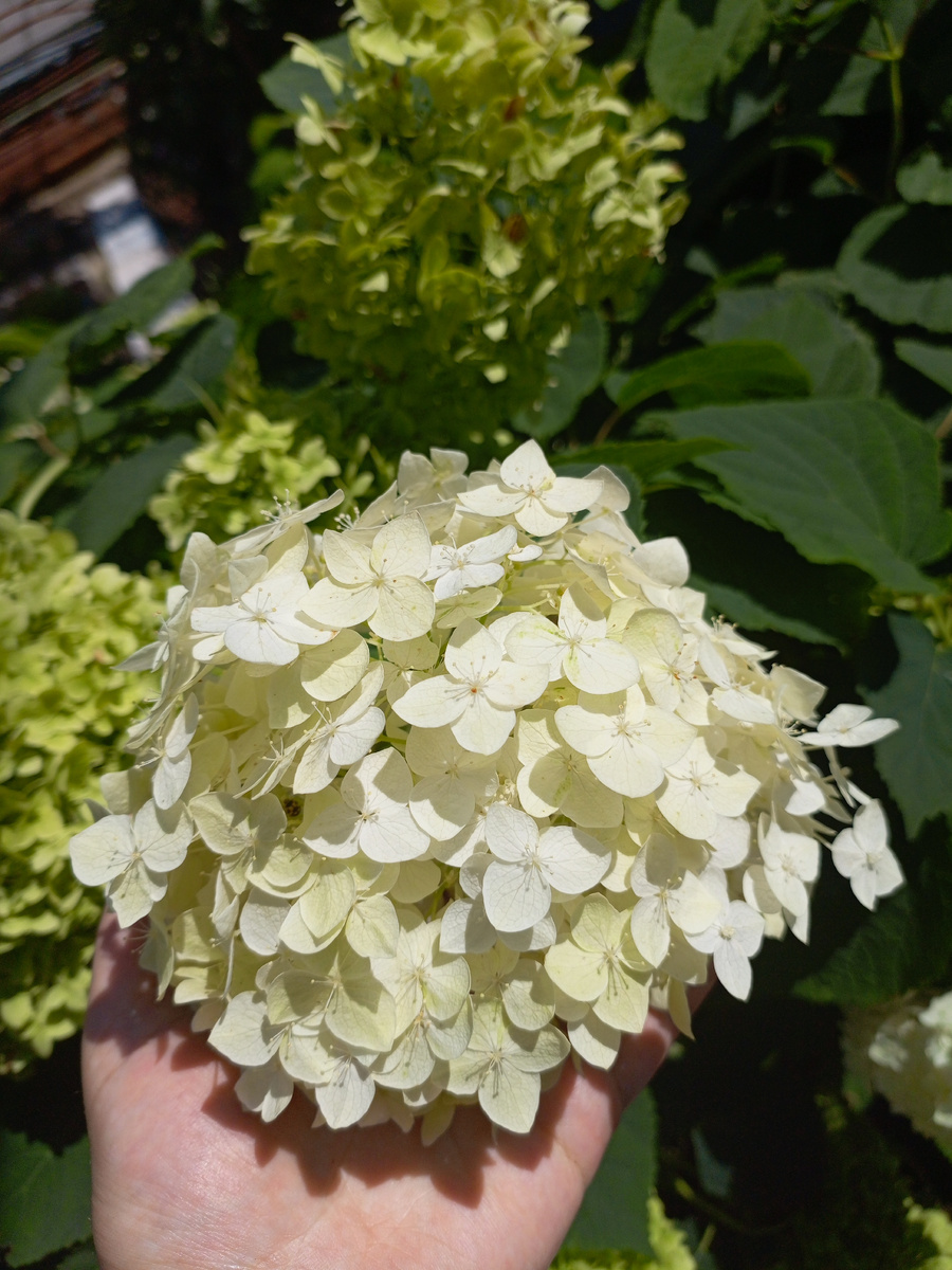 Фото сделано автором канала