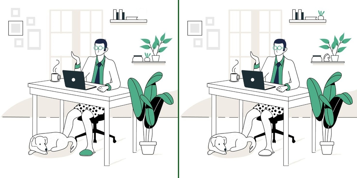 Найдите 10 отличий