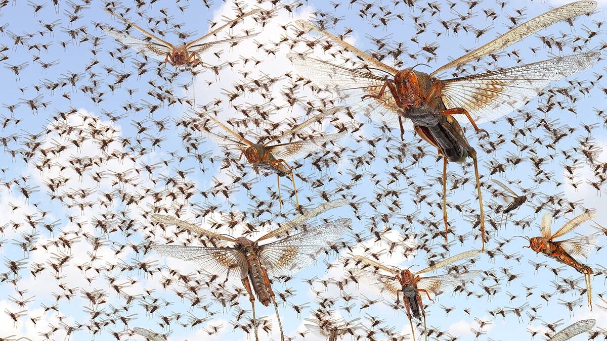    Фото: Shutterstock