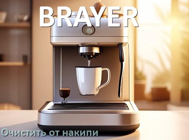 
Инструкция по очистке от накипи кофемашины BRAYER