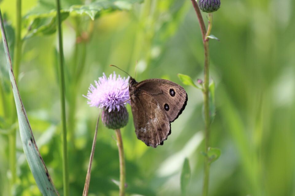    Окрестности села Санникова. Источник: Евгения Кочеткова/"Толк"
