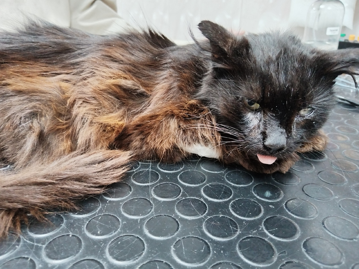 Листайте галерею