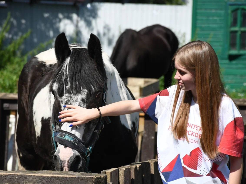     Фото: пресс-служба администрации г.о. Жуковский