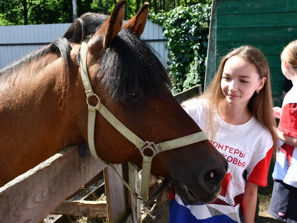    Фото: пресс-служба администрации г.о. Жуковский