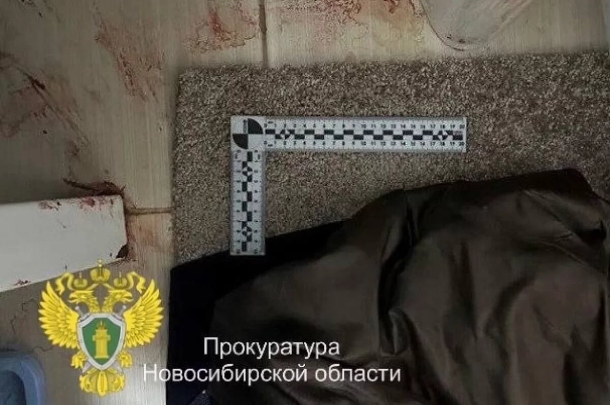    Житель Новосибирска предстанет перед судом за убийство знакомой