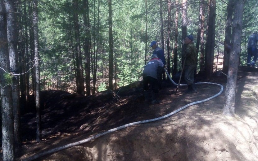    Лесной пожар на площади 0,2 га потушили в Удмуртии