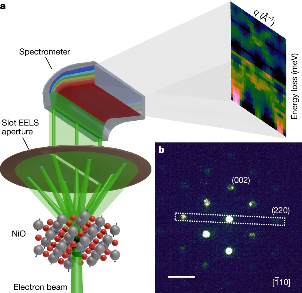    a) схематическое изображение геометрии ω–q колебательных измерений методом EELS с использованием прямоугольной апертуры для сбора данных. b) экспериментальная дифракционная картина / © Demie Kepaptsoglou et.al./Nature
