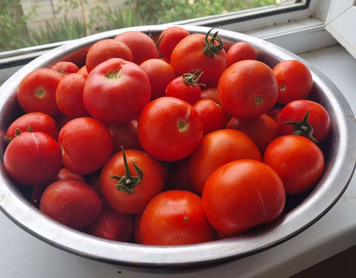 Фото: Зеленая леди, сад, семья и томатный сок