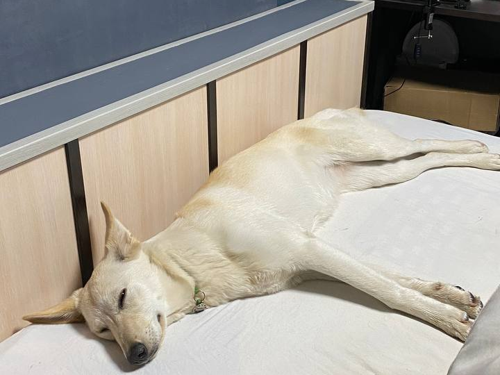 Сон — лучшее лекарство. Разбираю самое полезное, что вы можете сделать для организма.