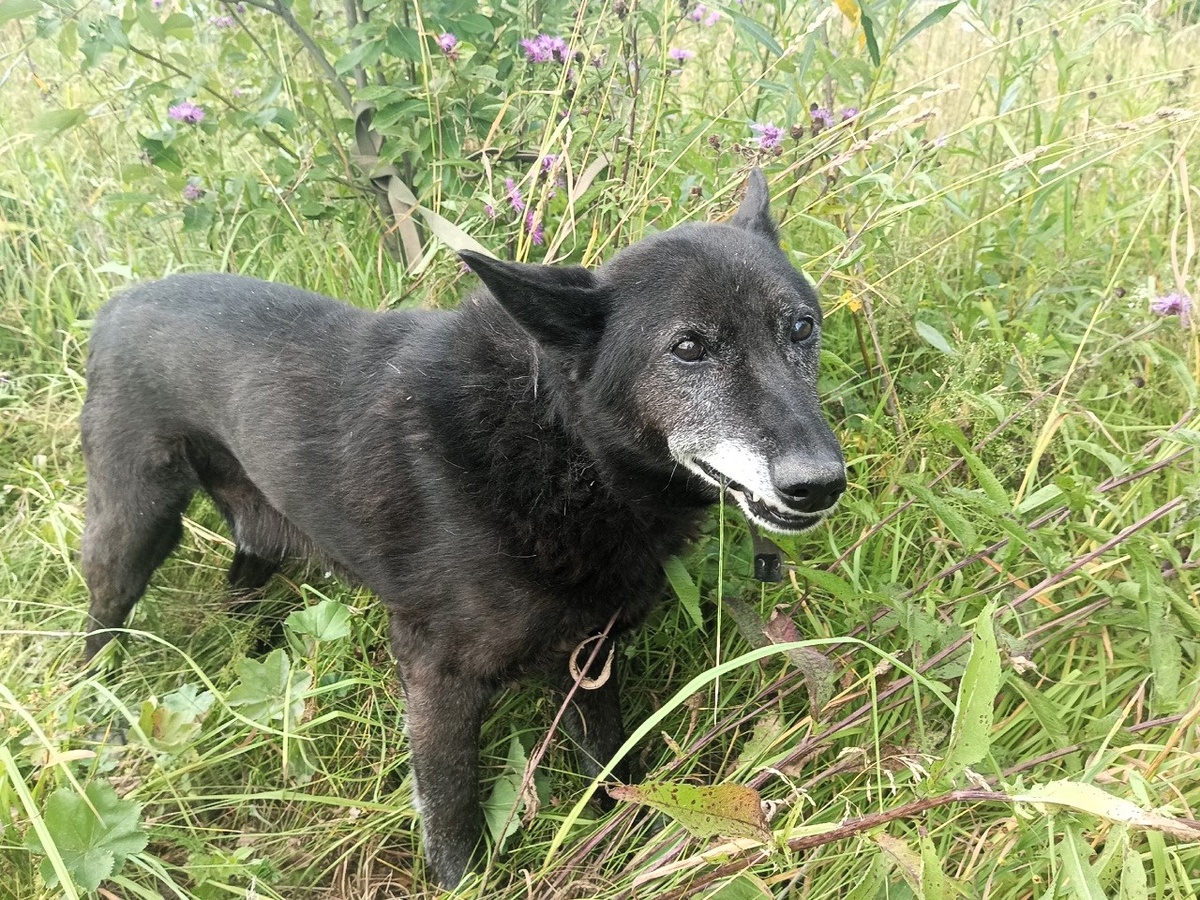 Стал старым и подслеповатым - и все былые заслуги забыты