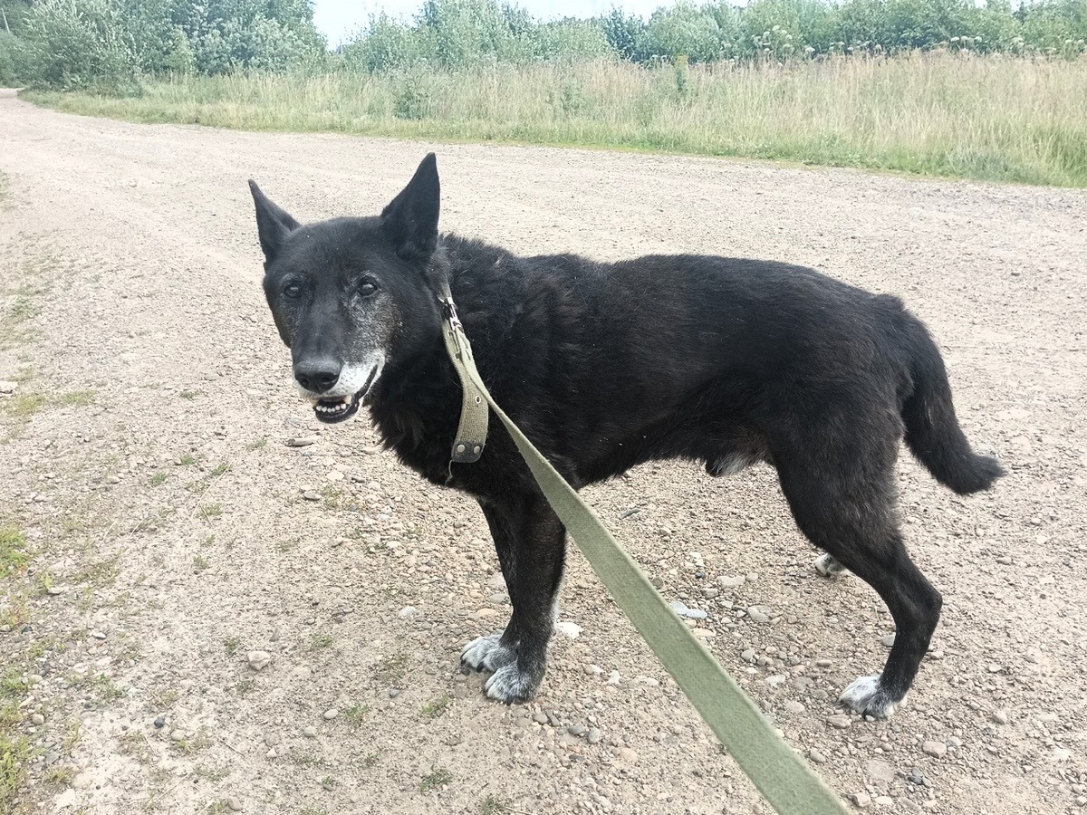 Начал ходить на прогулки