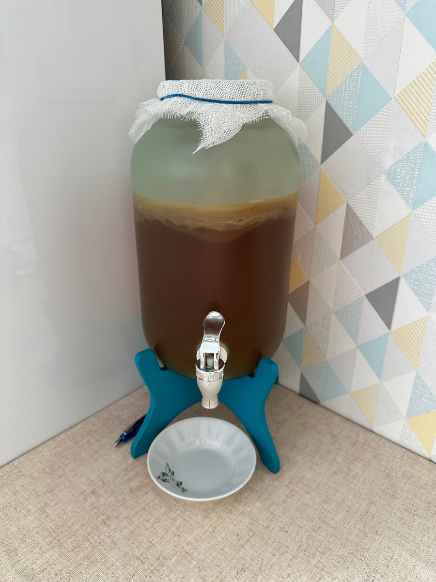 Фото автора. Наш любимый чайный гриб