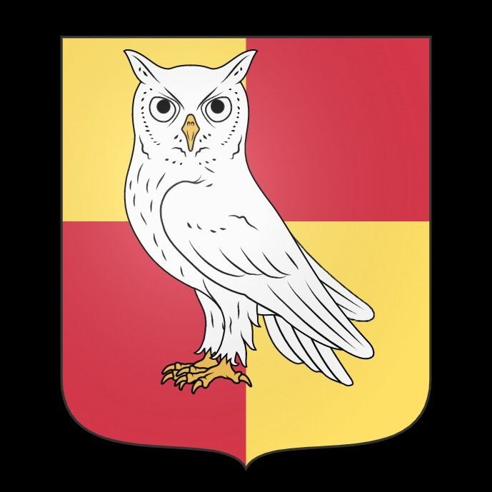 Где сова означает знания и мудрость, желтый цвет означает богатство (вместе с совой - богатство знаний), красный - смелость (мы (дети, родители и я) не боимся трудностей, которые будут возникать у нас на пути). Фото: Михаил Лайф Влог