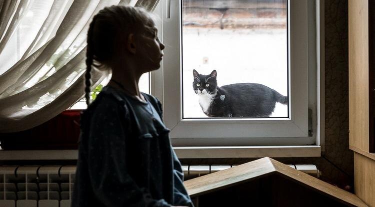 Фото: Павел Колядин